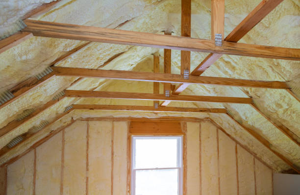 Best Insulation Installation Services in Lake Holiday, VA