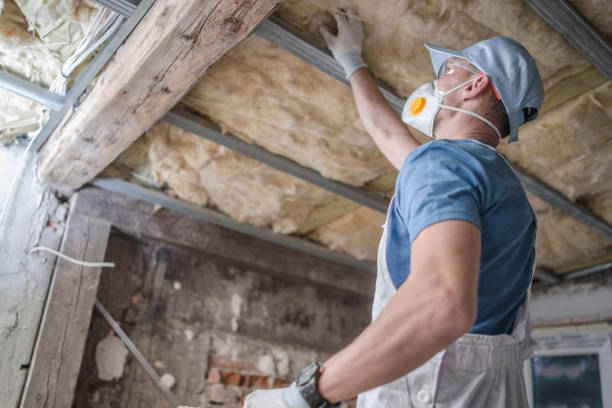 Best Residential Insulation in Lake Holiday, VA