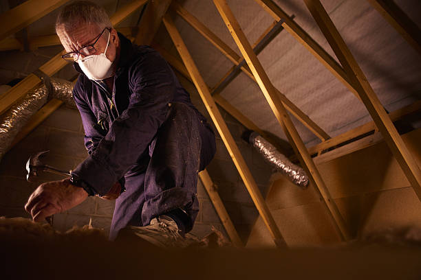 Best Insulation for Specific Applications in Lake Holiday, VA